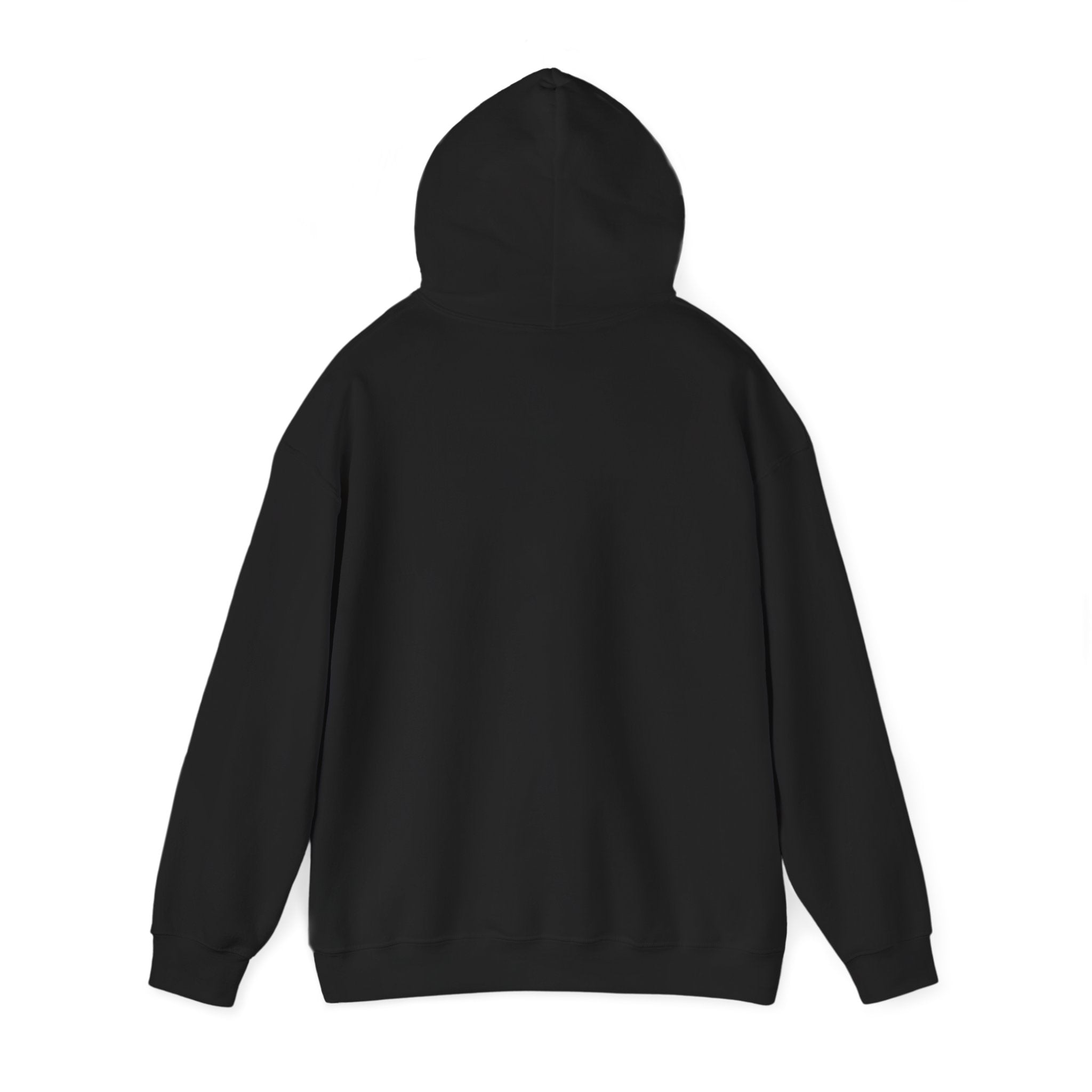 Compass Rose Hoodie — Vintage Nautical Travel Adventure Sweatshirt