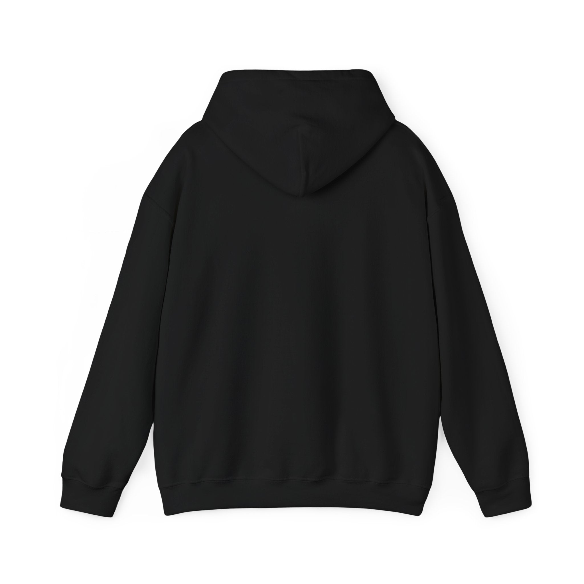 Compass Rose Hoodie — Vintage Nautical Travel Adventure Sweatshirt
