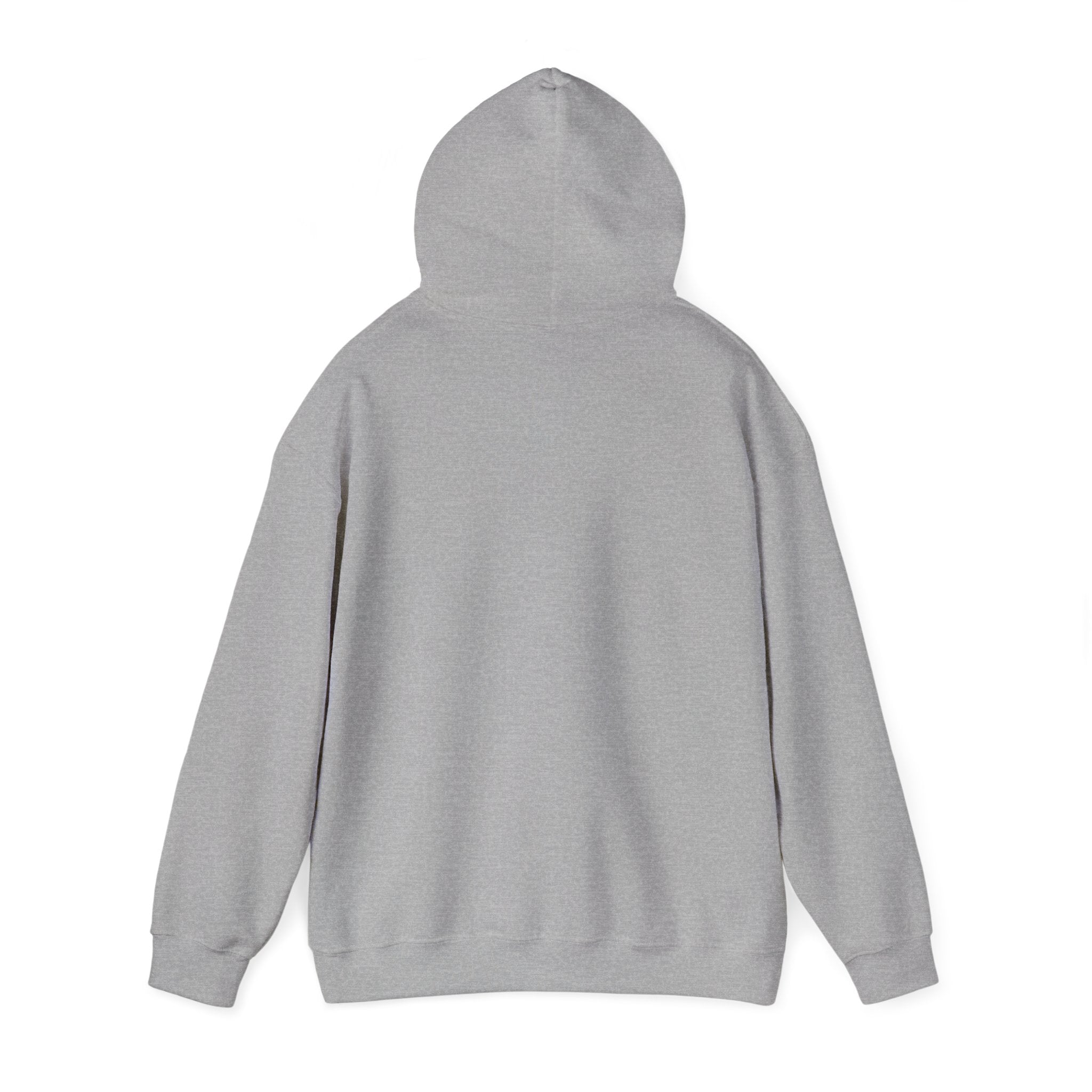 Compass Rose Hoodie — Vintage Nautical Travel Adventure Sweatshirt