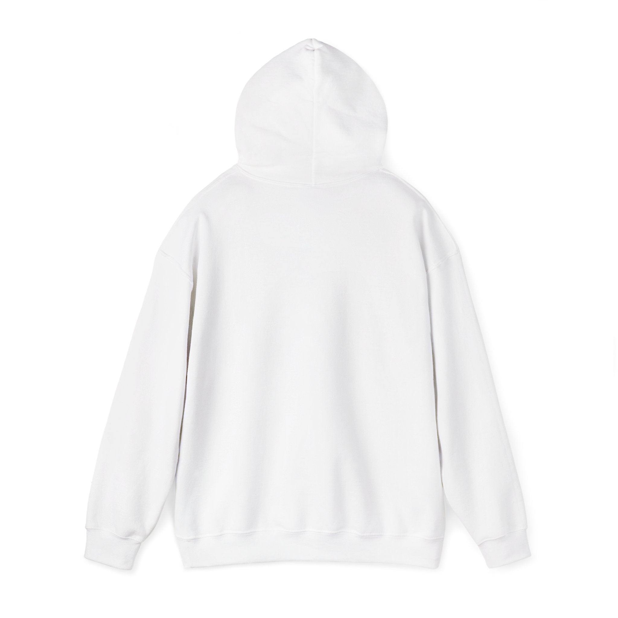 Compass Rose Hoodie — Vintage Nautical Travel Adventure Sweatshirt