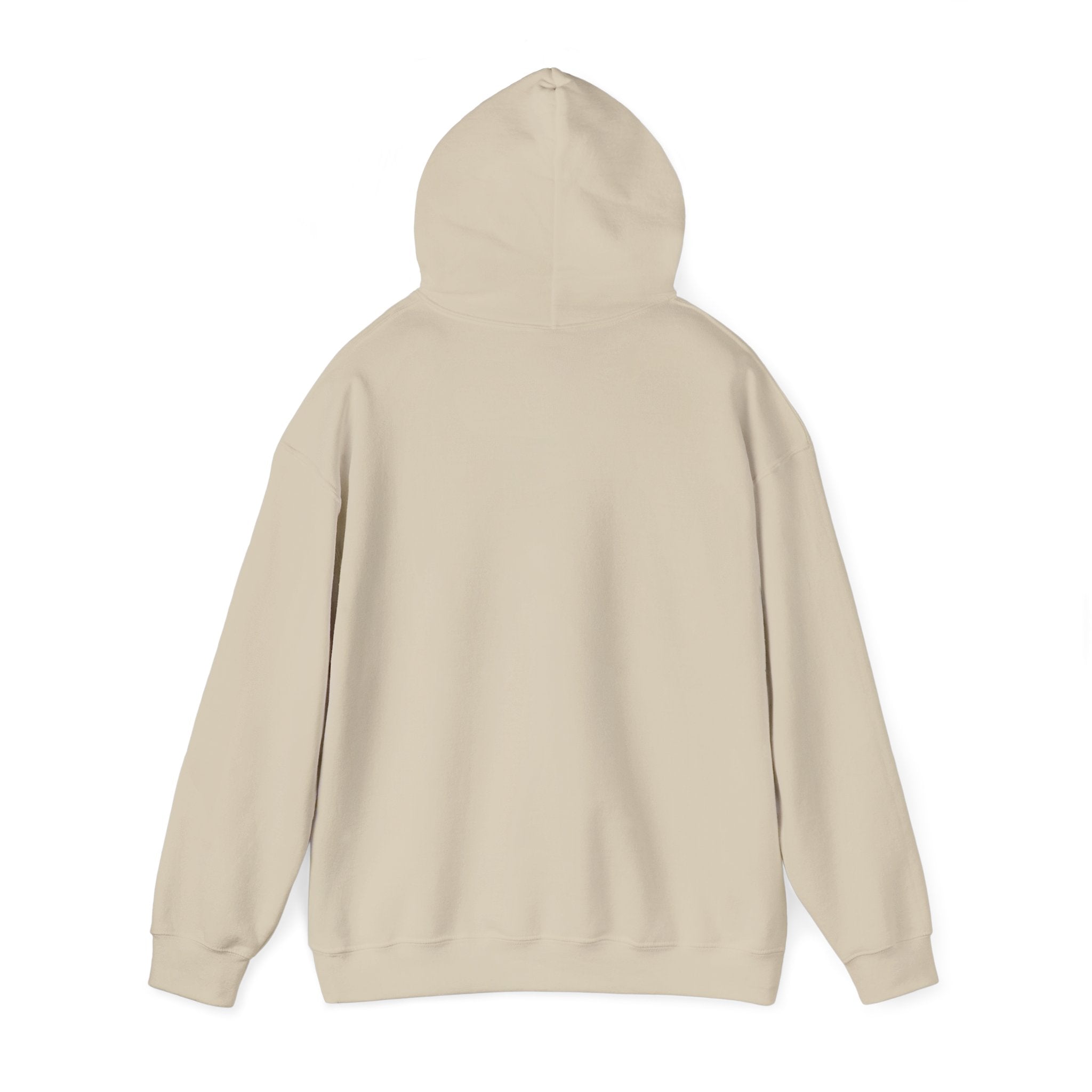Compass Rose Hoodie — Vintage Nautical Travel Adventure Sweatshirt